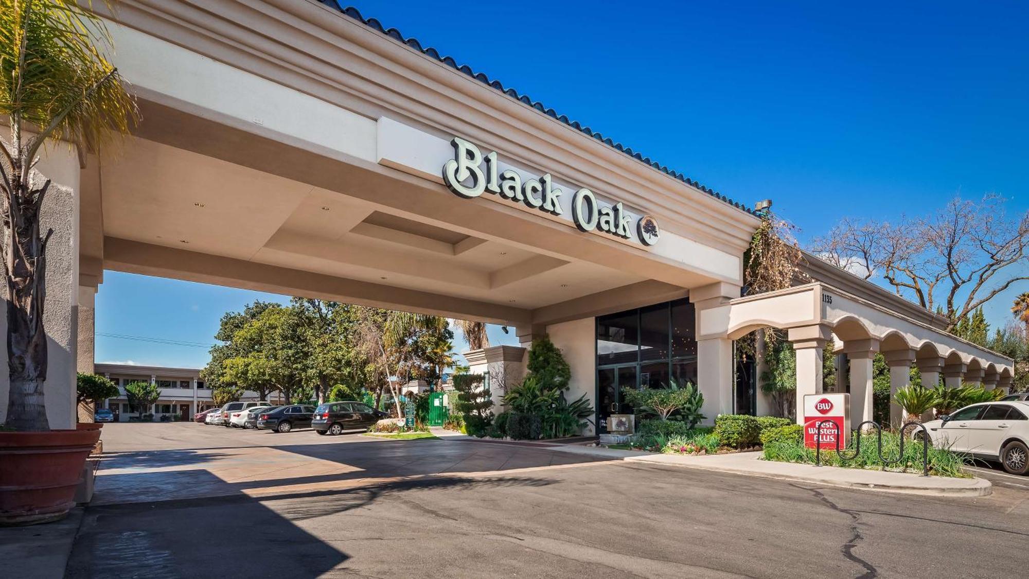 Best Western Plus Black Oak Paso Robles Extérieur photo